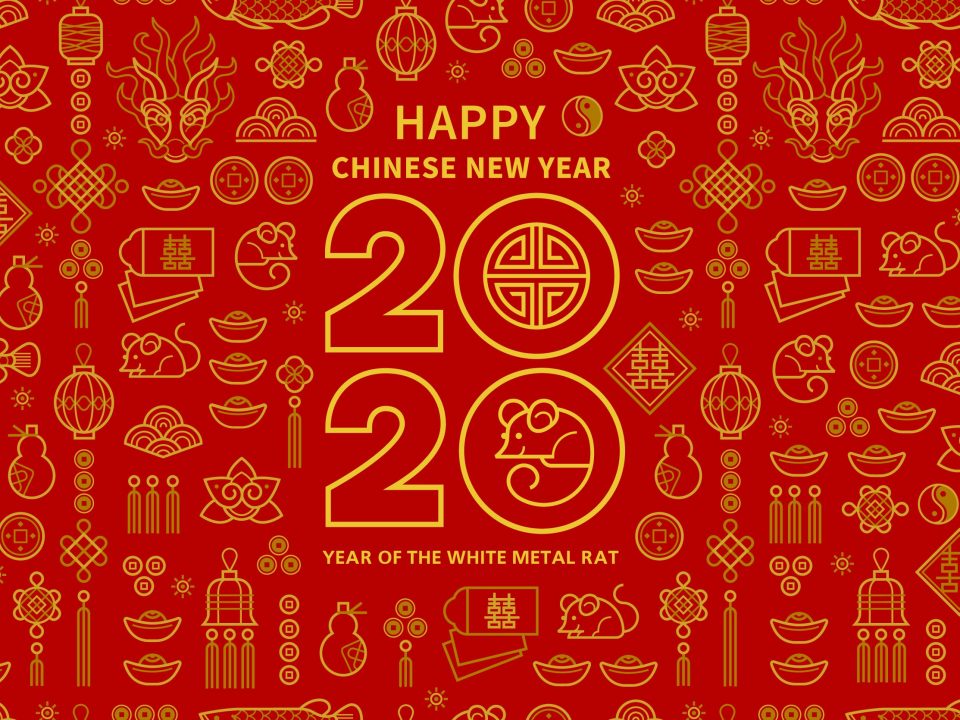 Chinese lunar new year