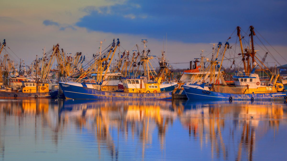 A photo of fisheries on the water