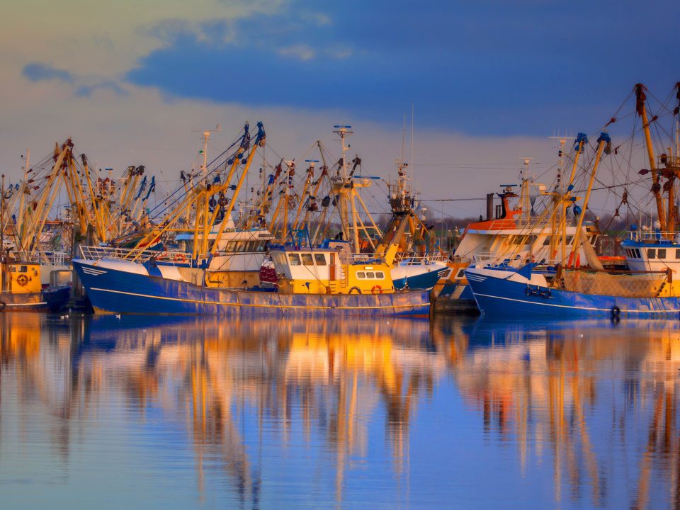 A photo of fisheries on the water